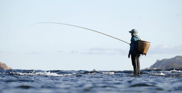 best fishing rod